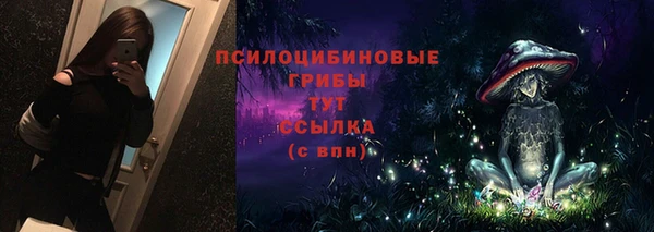 марки nbome Белокуриха