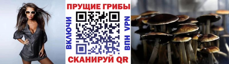 блэк спрут ССЫЛКА  Давлеканово  Галлюциногенные грибы Magic Shrooms 